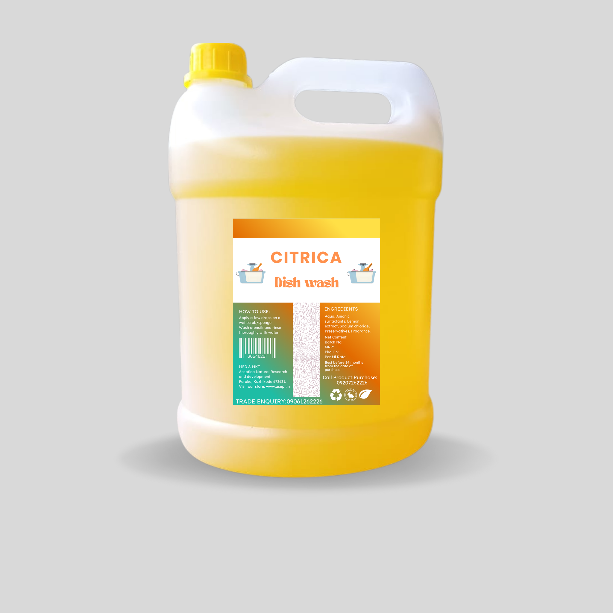 Citrica - Dish Wash